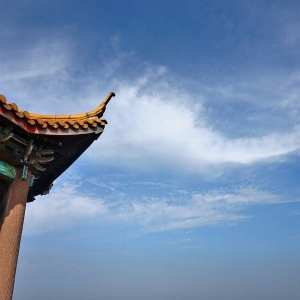 浅紫樱.jpg
