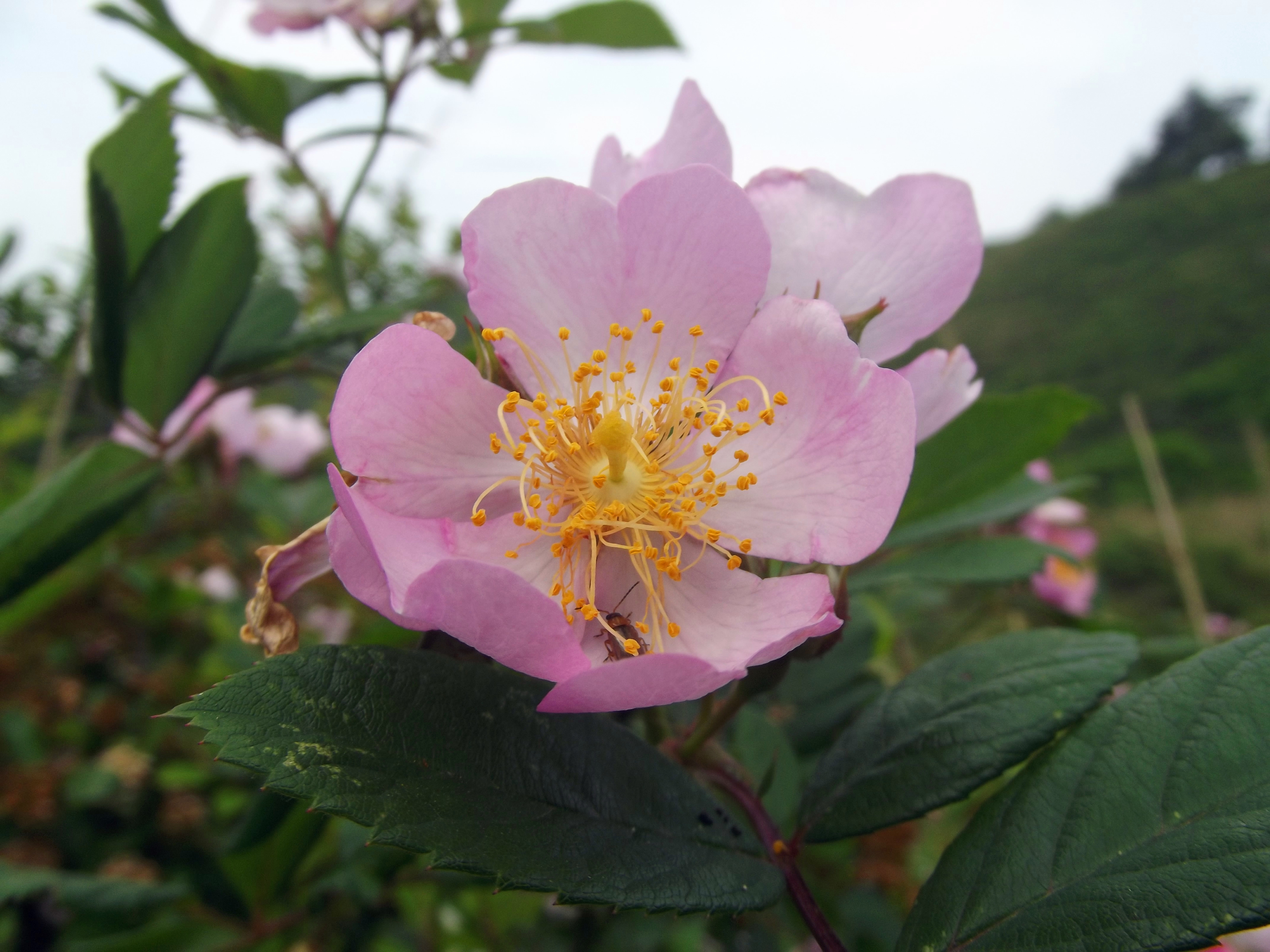 DSCF5979.jpg