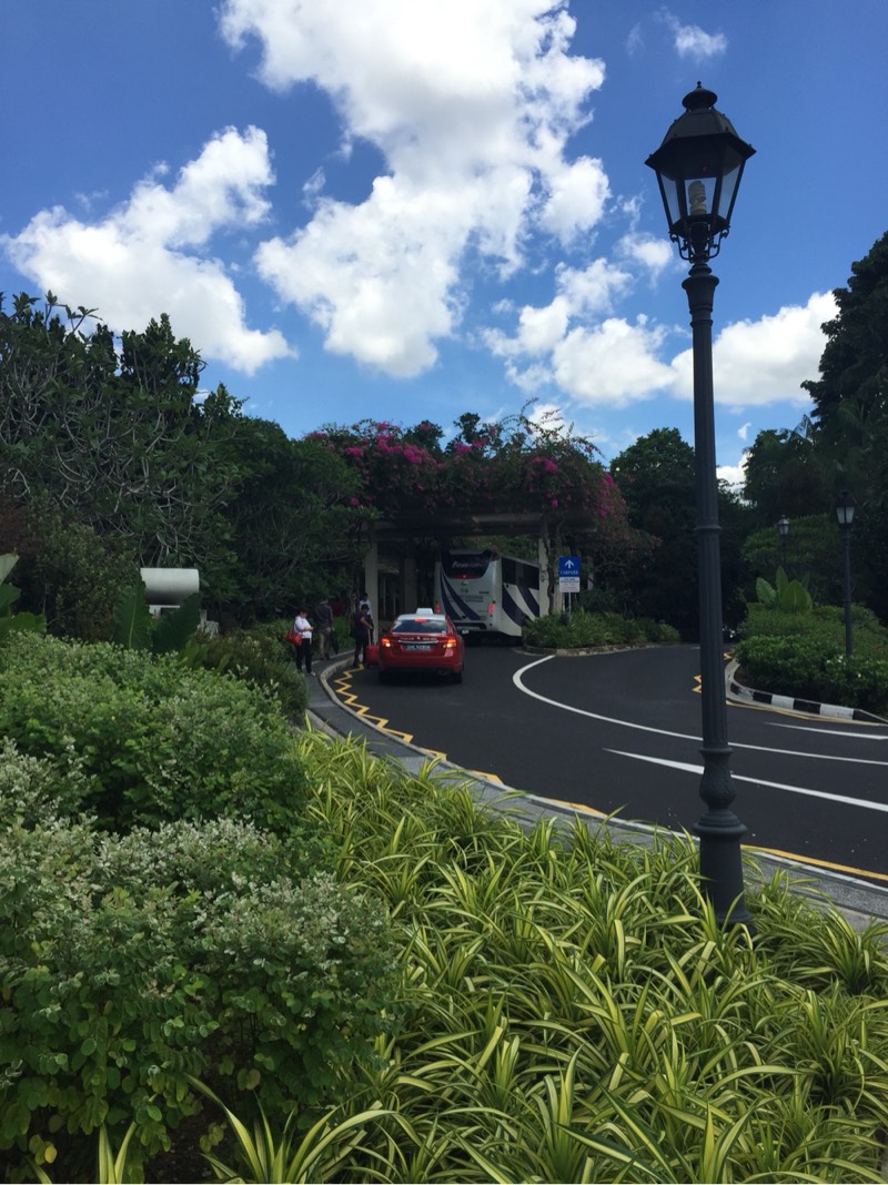 174843a5pimui0x5gyhxn5.jpg