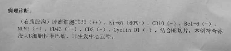 无标题.jpg