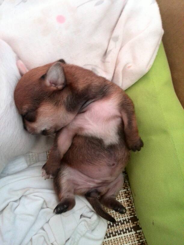 123816sllfgdwhzimls1hm.jpg