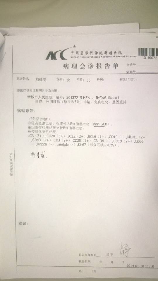 13年确诊病理