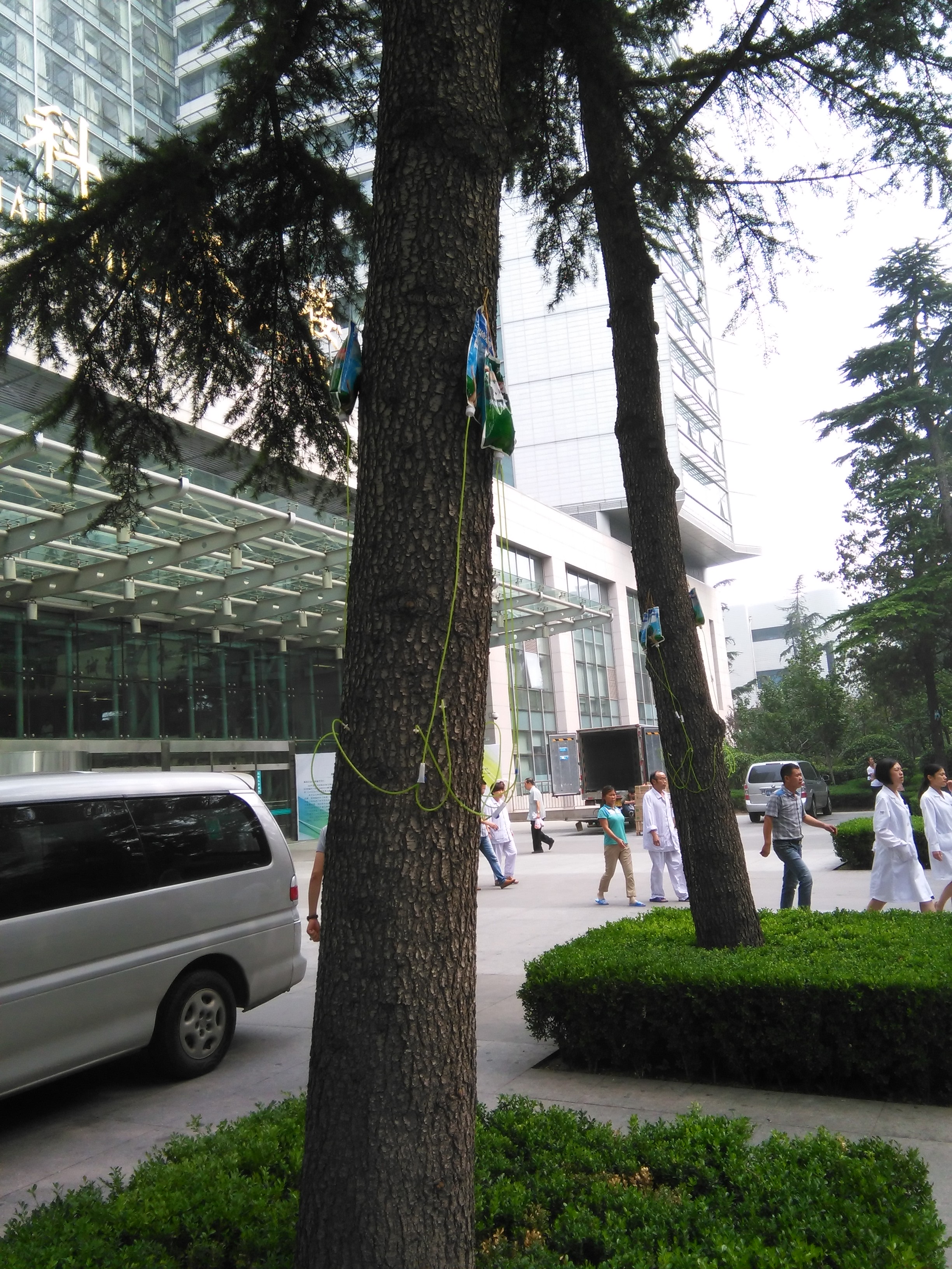 IMG_20150721_145720.jpg