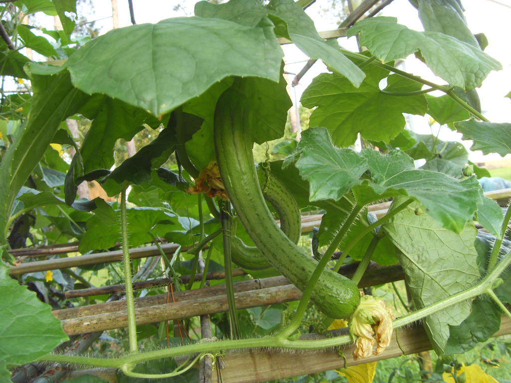 SDC13301.JPG