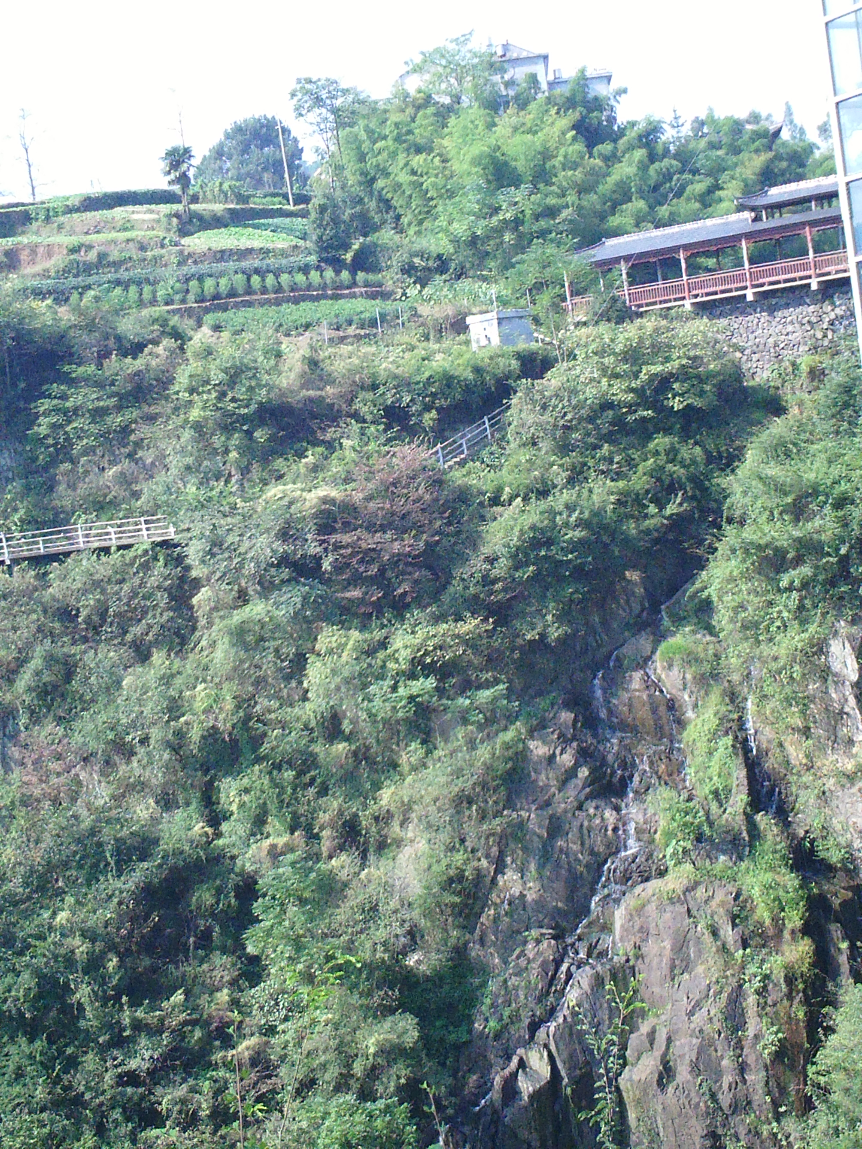 PICT0002.JPG