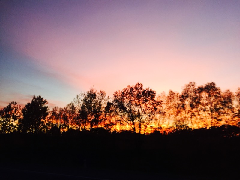 033013p685ipyff8y86zey.jpg