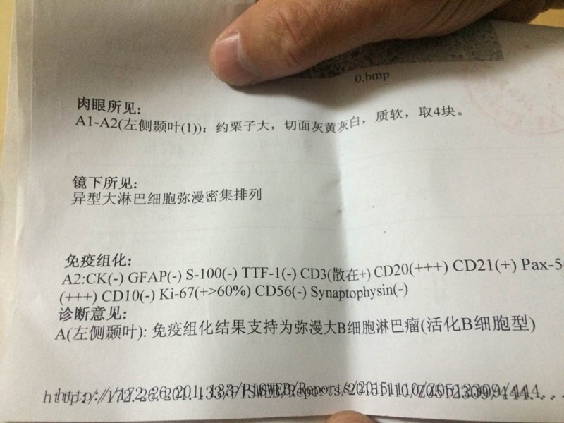 120506wuqs0mmtcqm2u62u.jpg