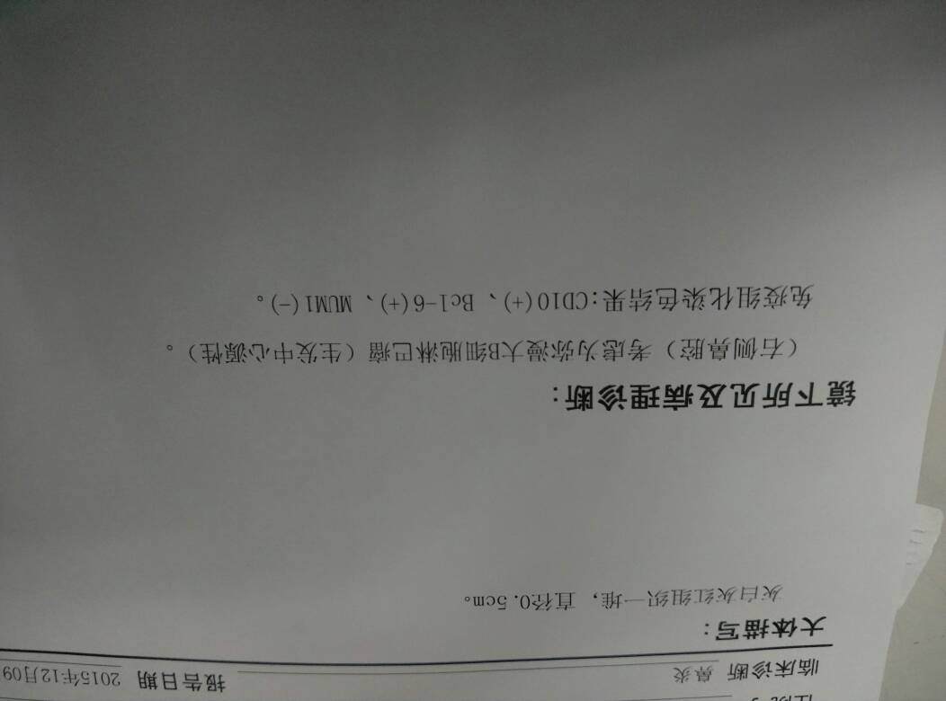 220344svgmclvue5l8ulcf.jpg
