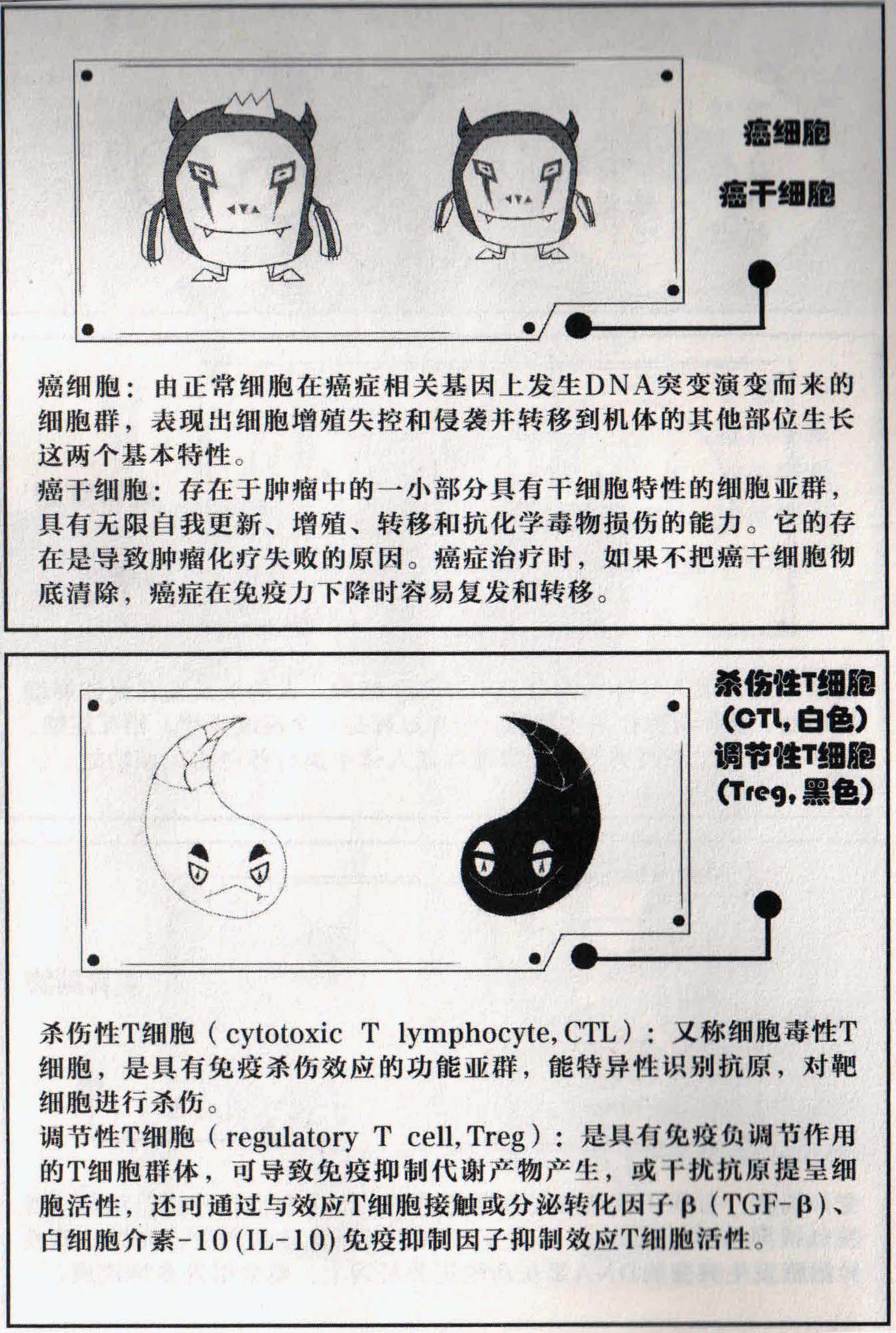 细胞介绍2.jpg