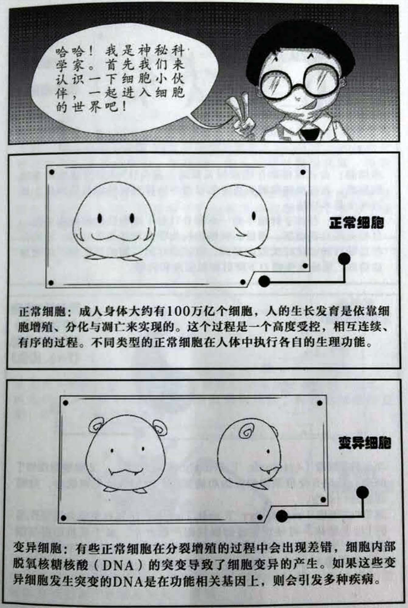 细胞介绍1.jpg