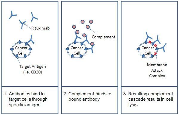 figure1.jpg