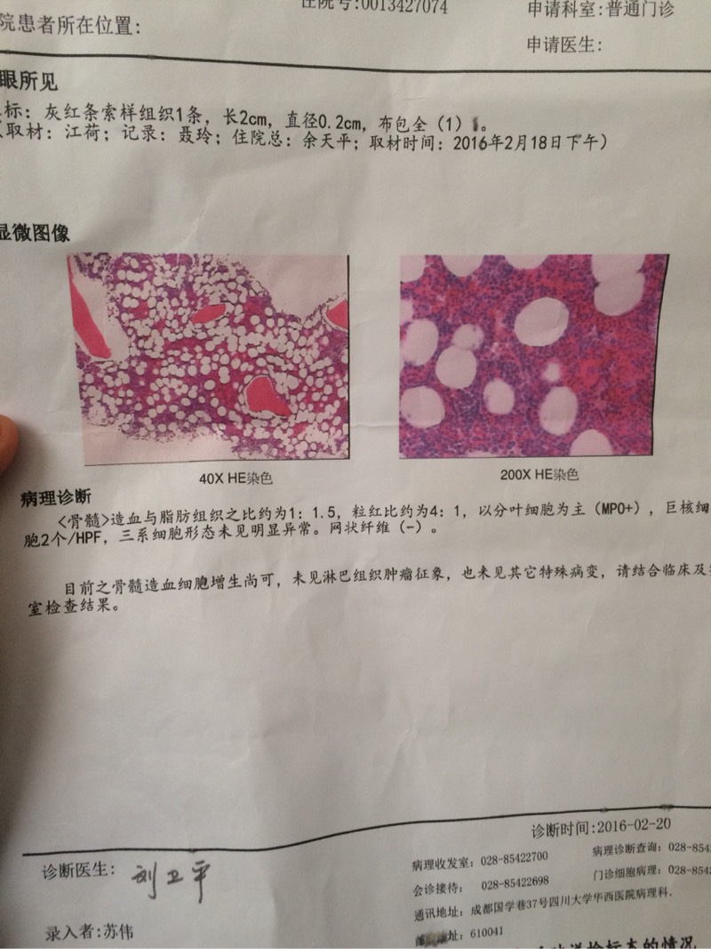 请求看看骨穿报告是多发骨髓瘤可能吗