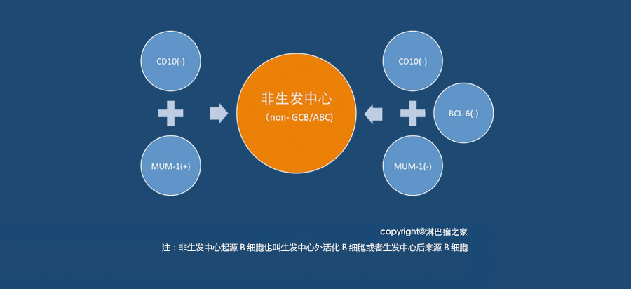 弥漫大B患者必须用美罗华么？_07.png