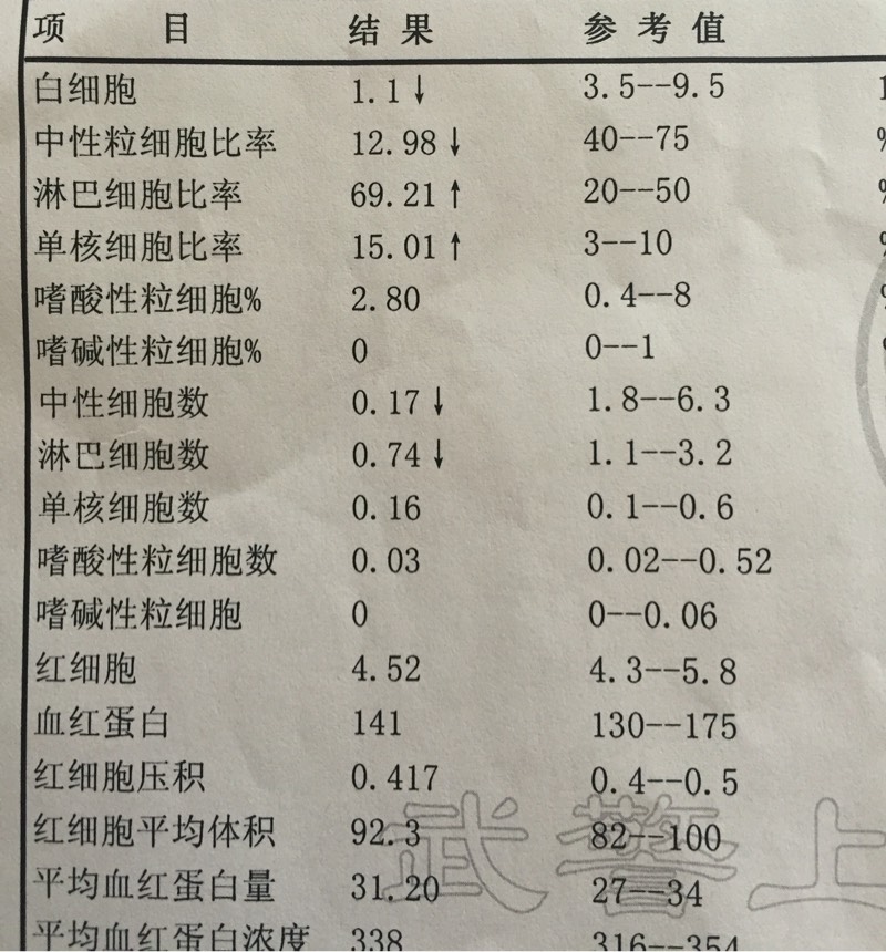 化疗白细胞偏低图片图片