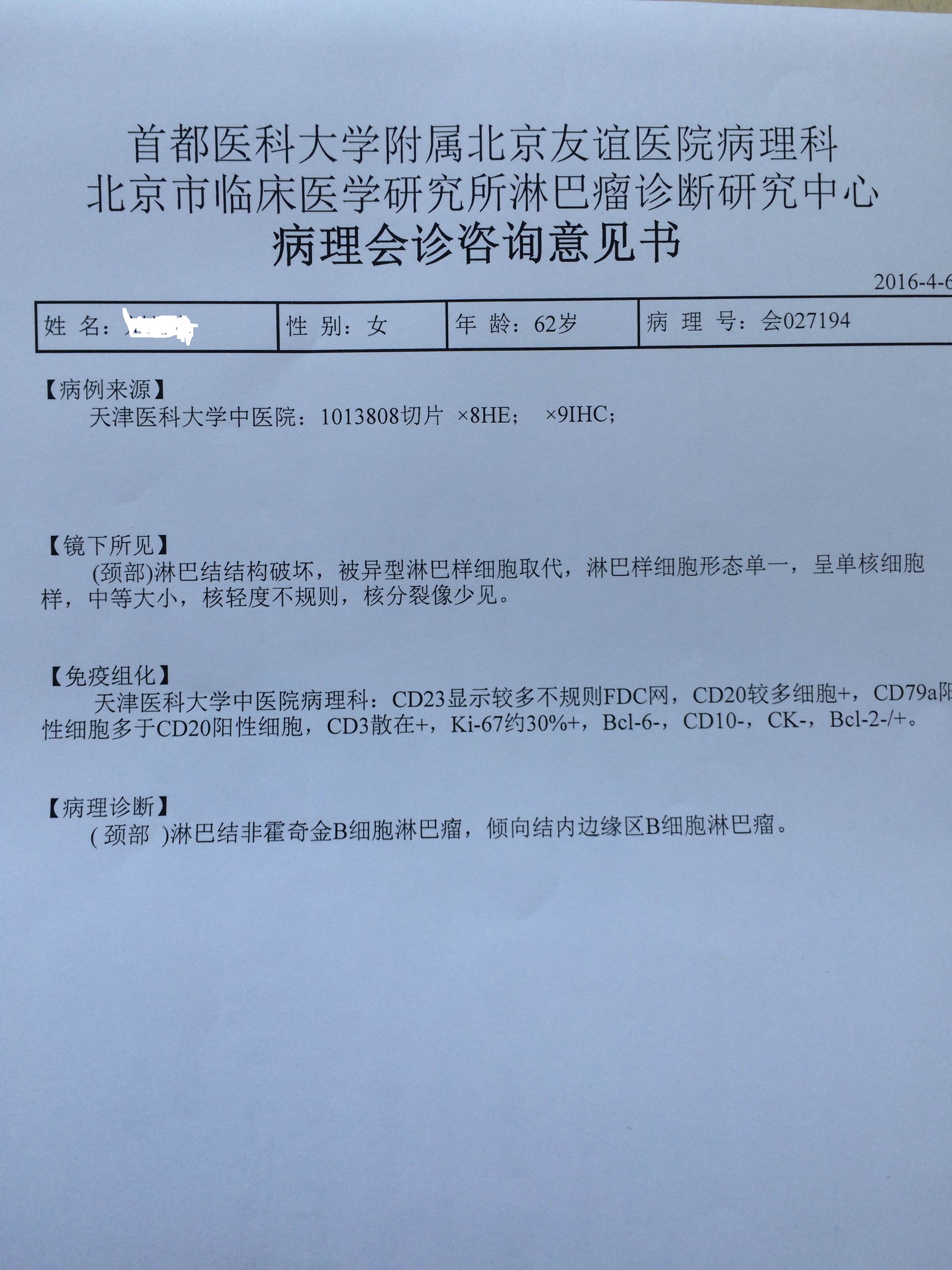 周小鸽病理.JPG