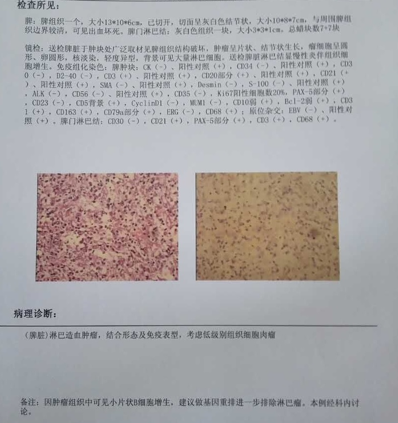 病理报告1.jpg