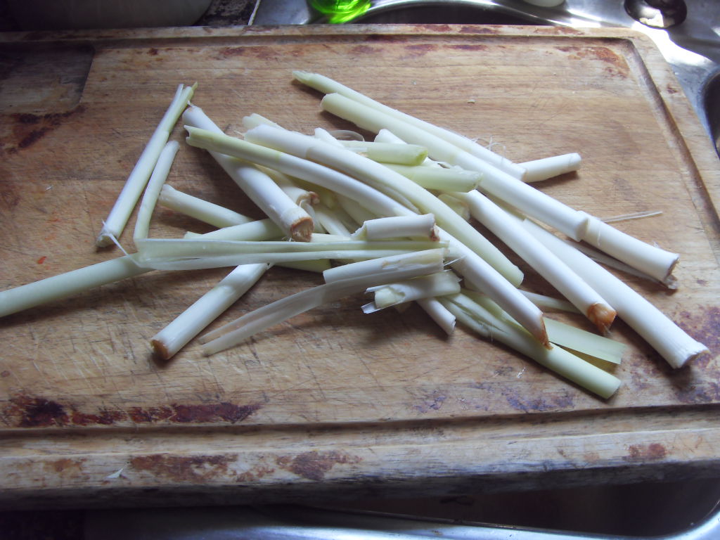 野生蒲菜，生活在水乡的人知道