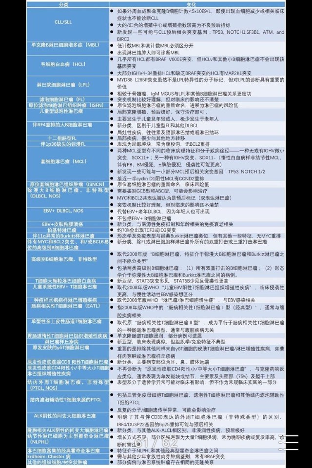 142931t565fsjfslfo4zoh.jpg
