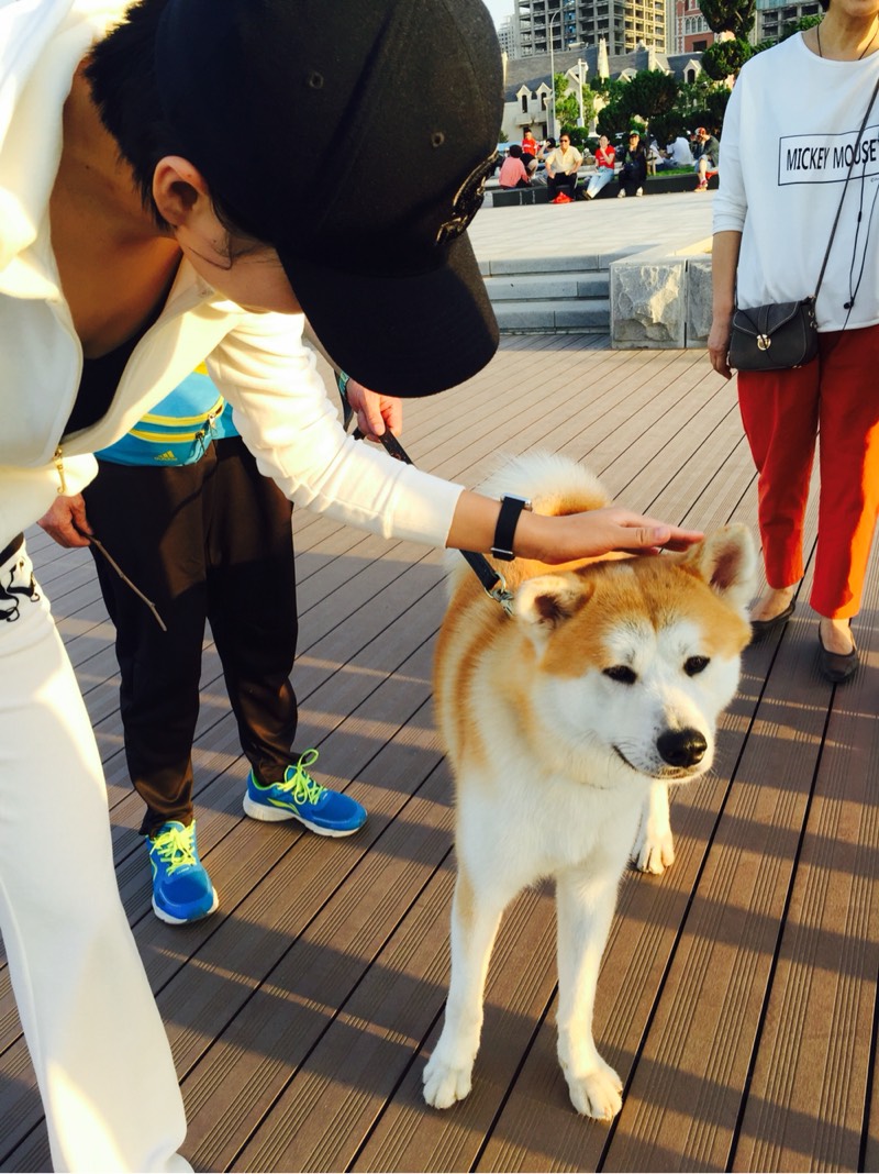 095612ah9e2h9jjy9y92j9.jpg