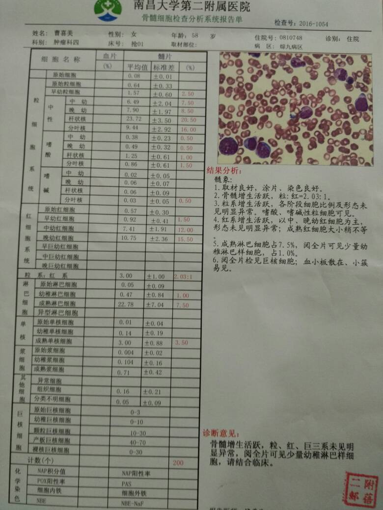 085631wuggurugg8c5emnm.jpg