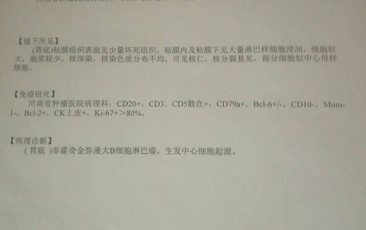 130120t4xnx1lm31utavvf.jpg