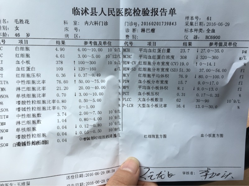 080401znnha4panvp6pp7e.jpg
