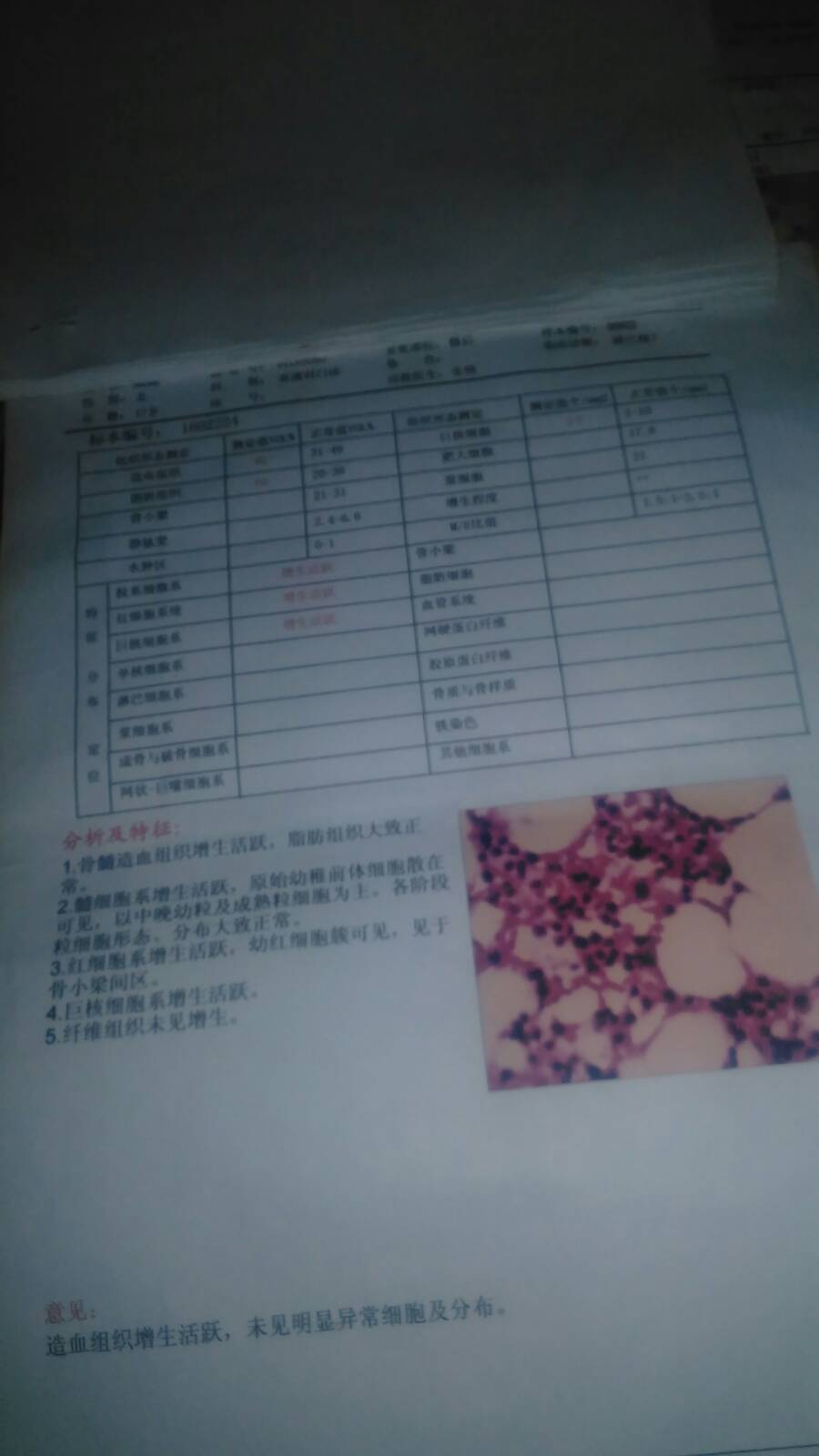 075055koreb7q9febhr7b3.jpg