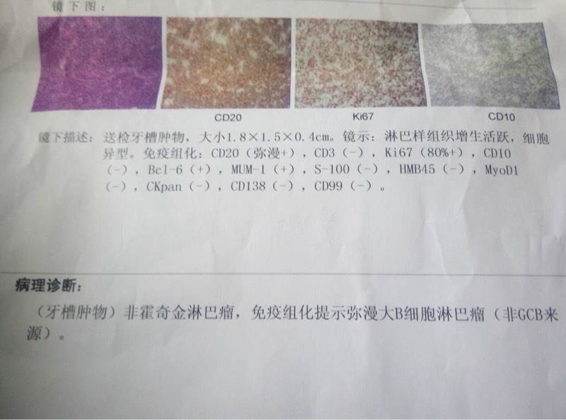 091720c8uppx6htg6r80p3.jpg