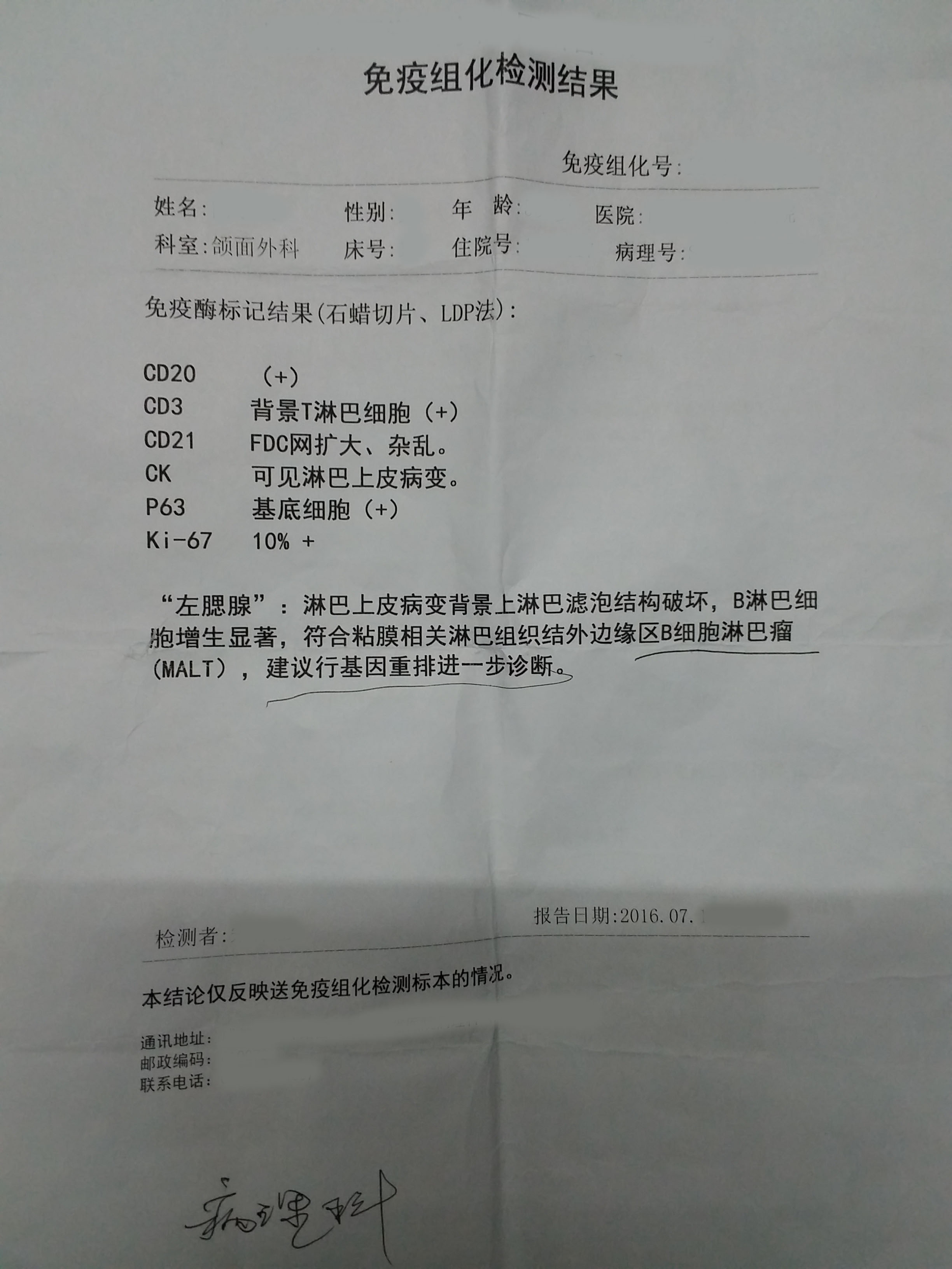 图1 免疫组化