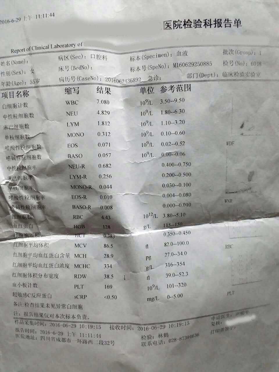 血常规