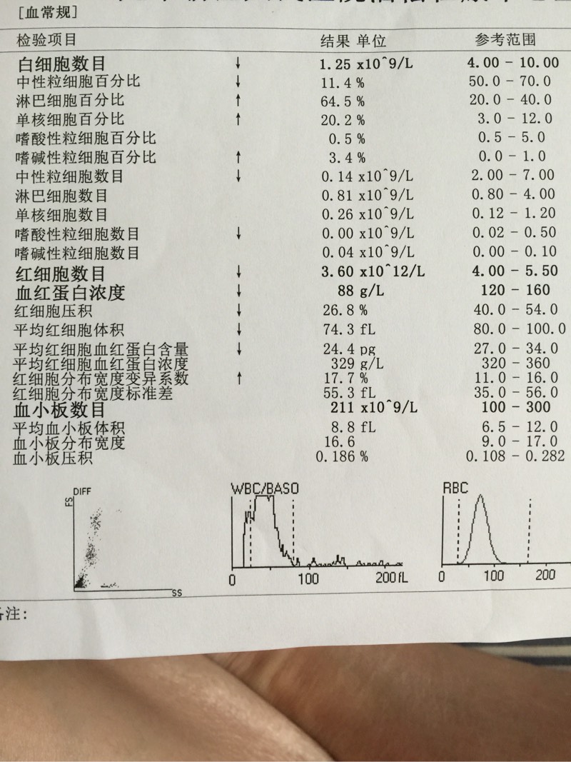 083932pro45l36jrjj6jrl.jpg