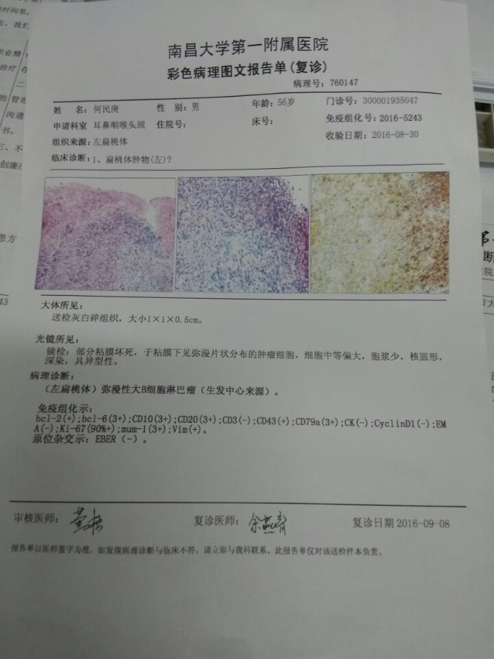 QQ图片20160909130924.jpg