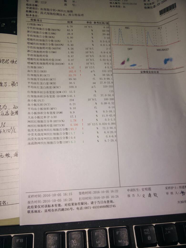 212449bdc2qxv7iql1aloj.jpg