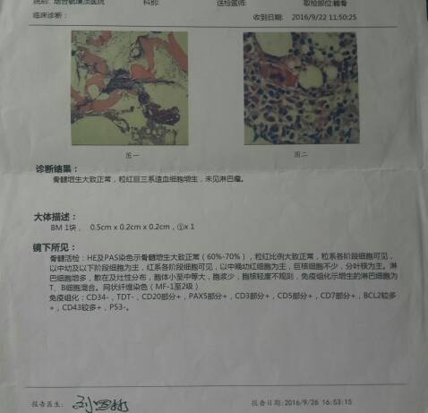 103251g6oqqo8al06m04sd.jpg