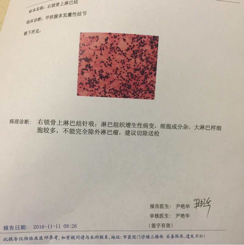 102836gjhgg97ejkdkfped.jpg