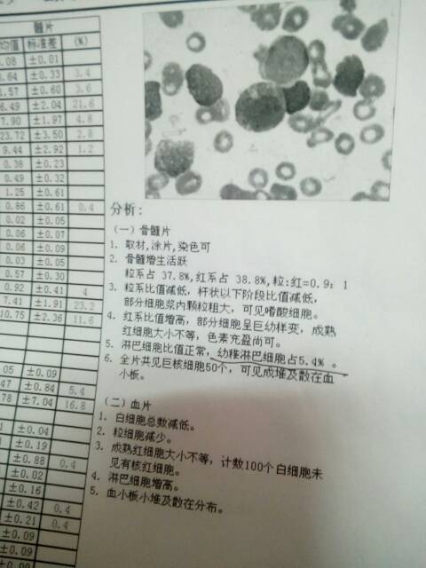 095218r5222b22tc23tyxx.jpg