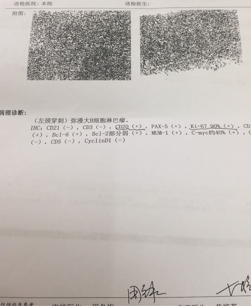 214720lwnsazjpxs5x5oor.jpg