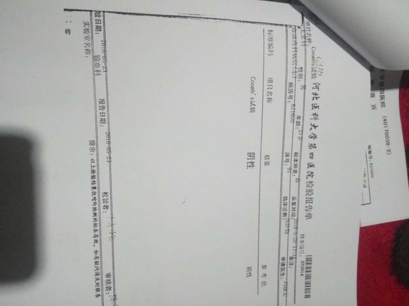 175738wzshilphl3ini1pt.jpg