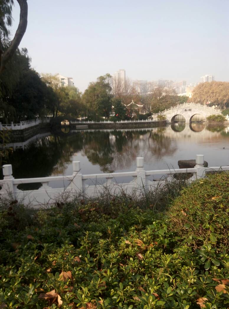 103035plg7wwt5ic7gggcl.jpg