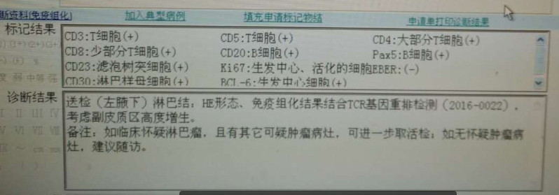 免疫组化.png