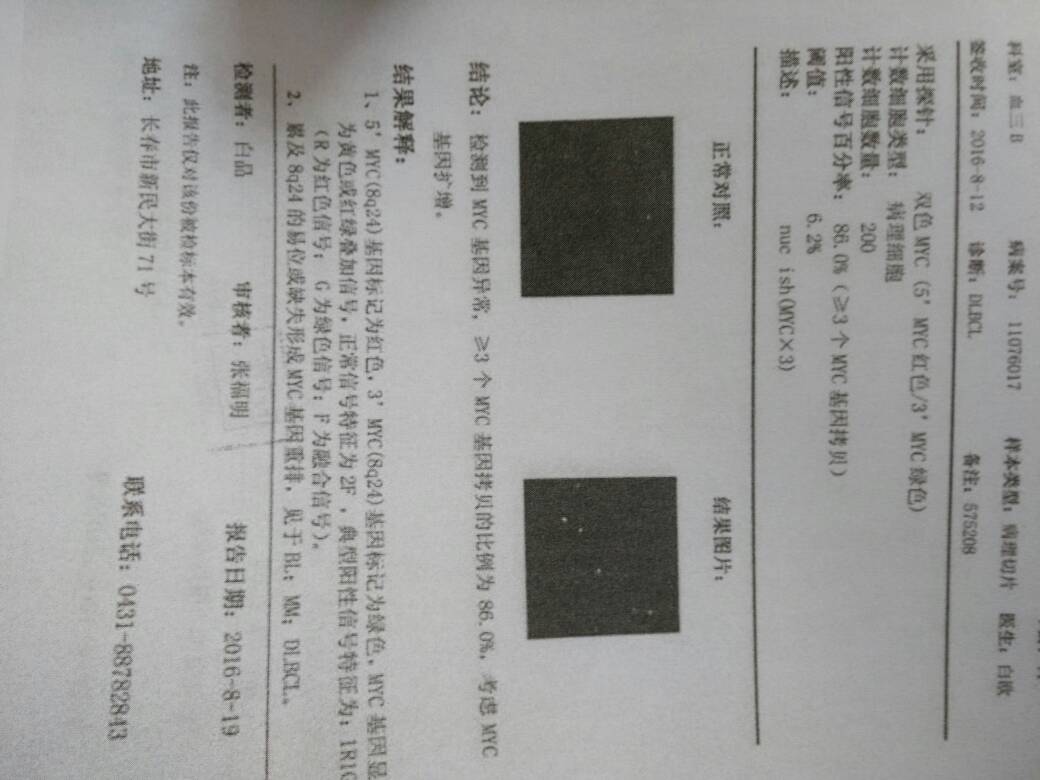 164424gk33dtim2idvyodo.jpg
