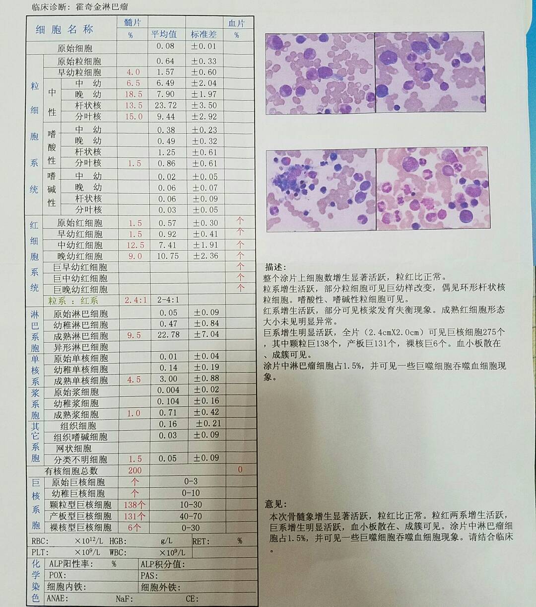 152602f9qzqhhsi1d9y31d.jpg