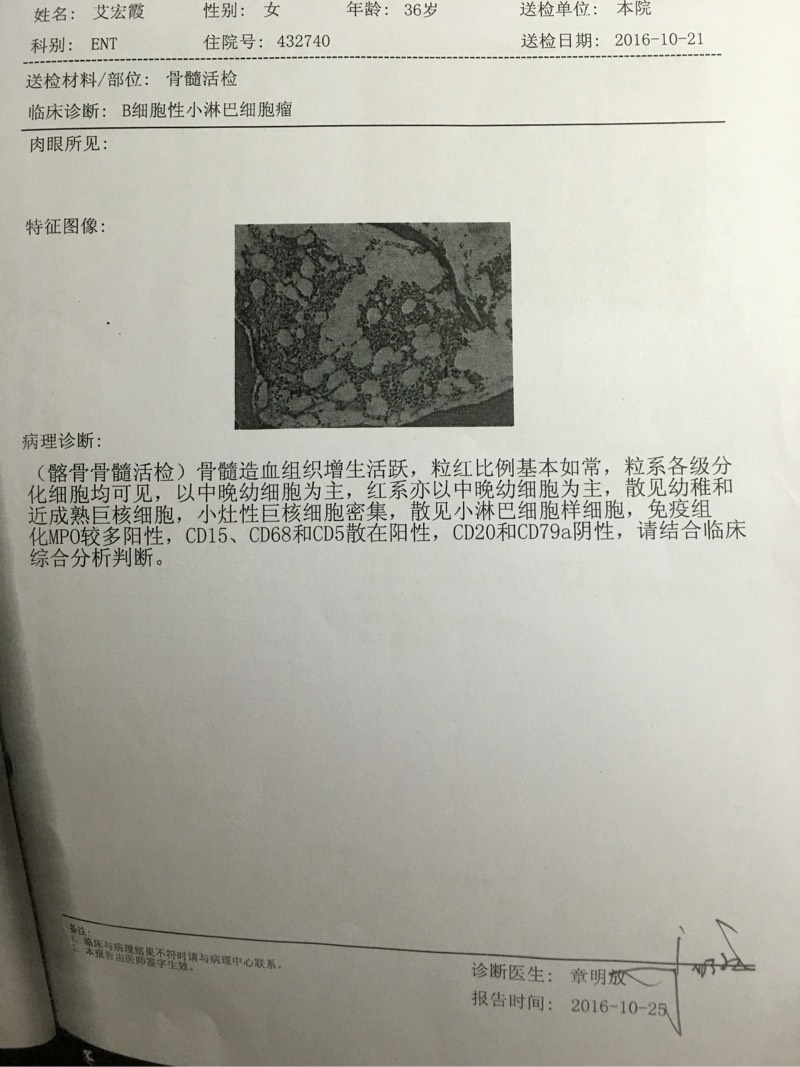 133617dyu55x5o3xpz3pp8.jpg