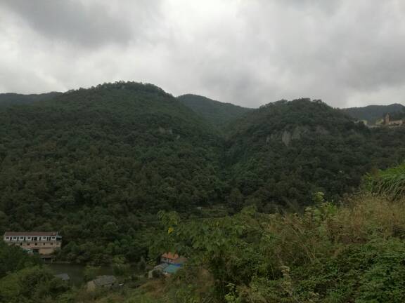 233748x65546do4d25abj8.jpg