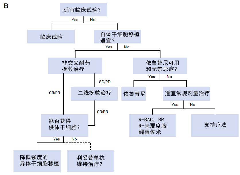 MCL-2.png