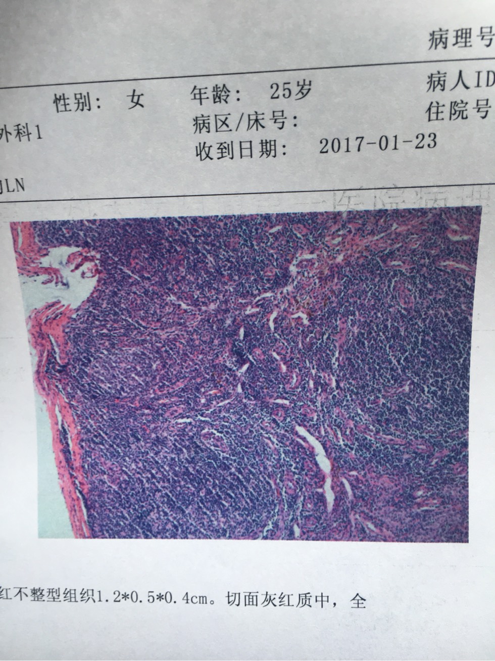 104717jqxprx7n9g79g974.jpg