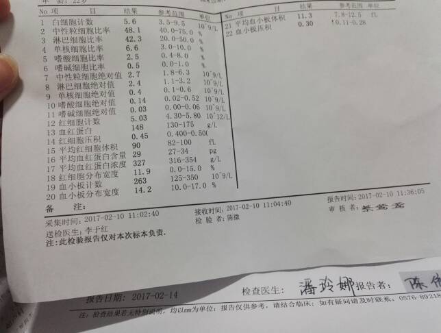 185613rra5a52dadarercu.jpg