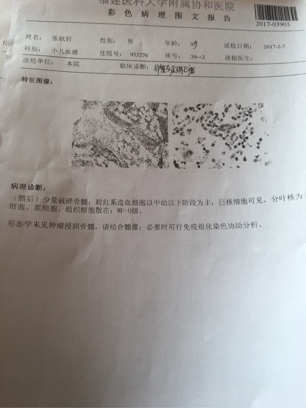 141051pn32hun8d23l2esm.jpg