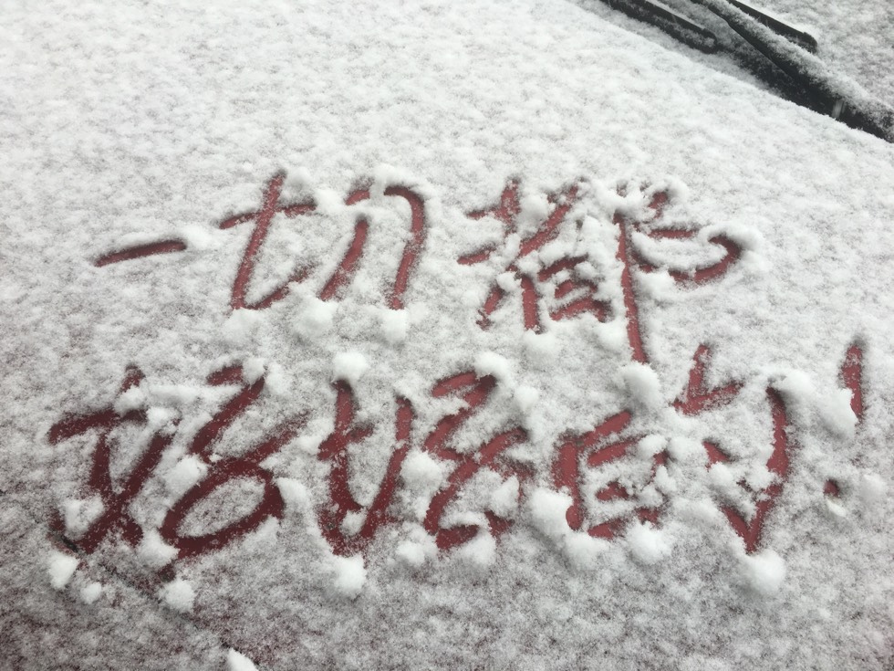 222710v75d0iz378hga3gu.jpg