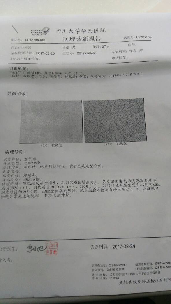 173724gnes7qjjxcxqonqp.jpg